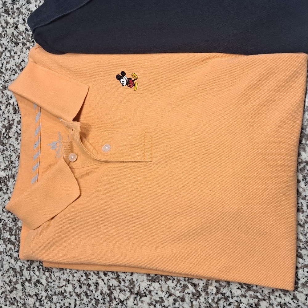 Bundle Of Disney Parks & Walt Disney World Mens Polo Shirts Tee Both Size L - Picture 2 of 11